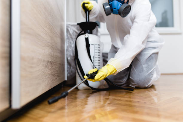 Wasp Removal Services in North Babylon, NY