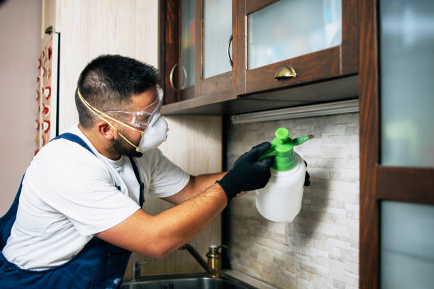 Trusted North Babylon, NY Pest Control Experts