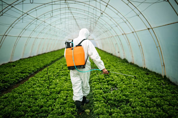 Best Best Pest Control Companies  in North Babylon, NY
