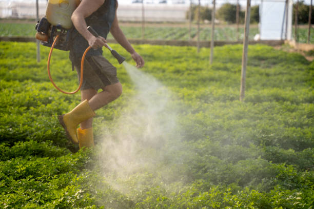 Pest Control Cost in North Babylon, NY