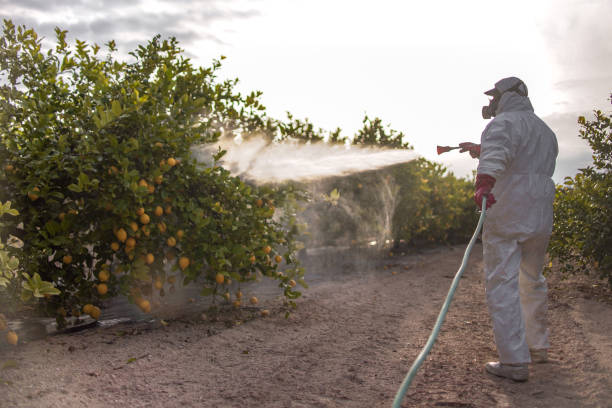 Best Residential Pest Control  in North Babylon, NY