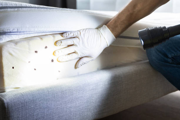 Best Best Pest Control Companies  in North Babylon, NY