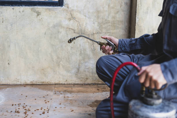 Best Mosquito Control Services  in North Babylon, NY